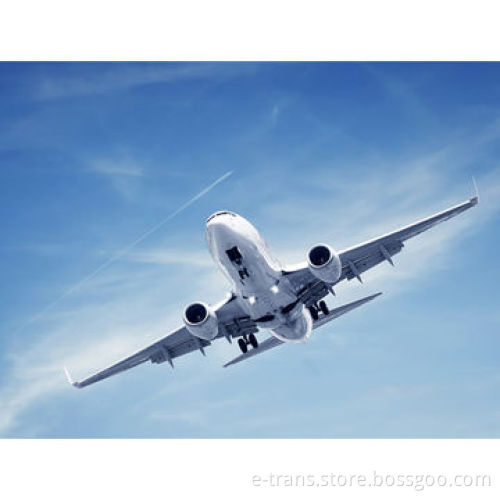 Logistics freight forwarding services of import and export agency services